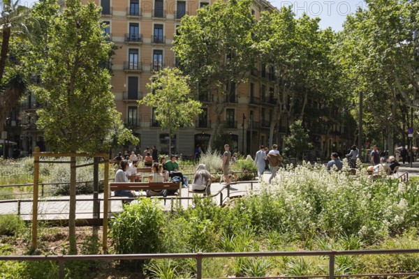 The Eixample superblock, car-free and pedestrianised area in the centre of Barcelona, Spain