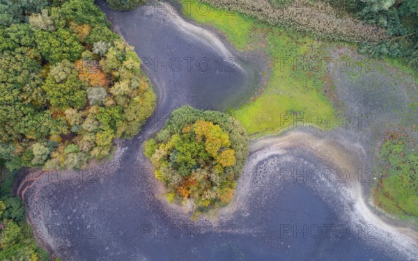 Mixed forest in autumn, colouring, aerial view, forest, autumnal, Ahlhroner Fischteiche, Niedersächsische Landesforst, Ahlhorn, Lower Saxony, Germany
