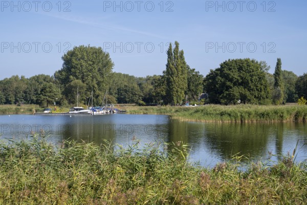Boat harbour on the Achterwasser, Koserow, Usedom Island, Baltic Sea, Mecklenburg-Western Pomerania, Germany