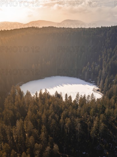 A fenced lake in golden sunlight, nestled in a dense forest, Glaswaldsee, Bad Rippoldsau-Schapbach, Black Forest, Germany