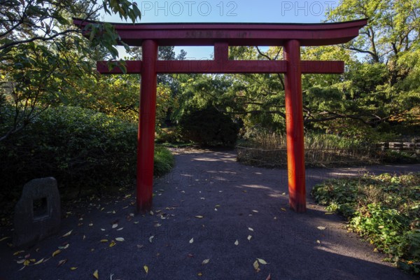 Japanese Torii Gate, Japanese Garden, Zoological City Garden, Karlsruhe, Baden-Württemberg, Germany
