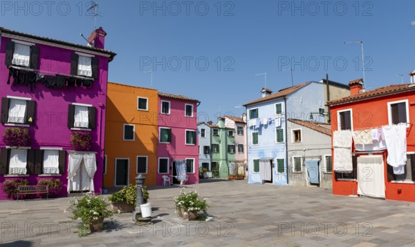 Colourful houses with washing lines and flowers, colourful house facades, alleyways on the island of Burano, Venice, Veneto, Italy