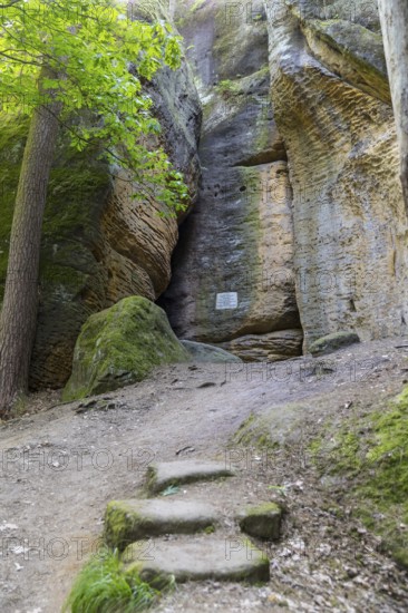 Rocky landscape at the Diebskeller or Götzinger Cave at the Kleiner Bärenstein, Thürmsdorf, Struppen, Saxon Switzerland, Saxony, Germany