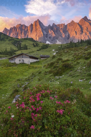 The Ladiz-Alm, the high alpine pasture of the Eng-Alm, Ladiz-Alm, Karwendel Mountains, Tyrol, Austria