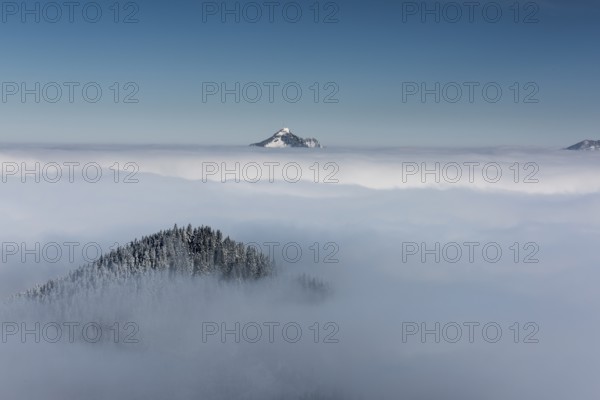 Snow-covered peak of Mt Grünten above the layer of fog, Ofterschwang, Oberallgäu district, Bavaria, Germany