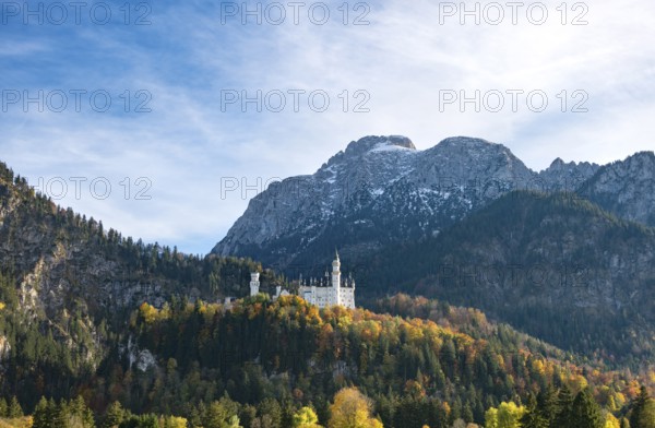Neuschwanstein Castle in autumn, Schwangau, East Allgäu, Allgäu, Swabia, Upper Bavaria, Bavaria, Germany