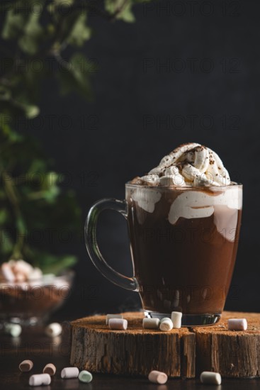 Hot chocolate with whipped cream and cocoa powder on a wooden board with marshmallows in a cosy atmosphere