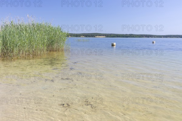 On the shore of the Scheibe-See, open-cast mining pit, which is now open for swimming, Hoyerswerda, Saxony, Germany