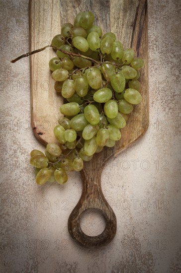 A branch of white grapes, wine grapes, Georgian grape variety Rkatsiteli, top view