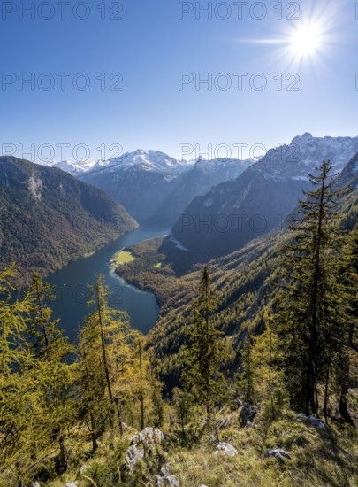 Panoramic view of the Königssee from the Archenkanzel viewpoint, autumnal forest and snow-capped mountains, Berchtesgaden National Park, Berchtesgadener Land, Upper Bavaria, Bavaria, Germany