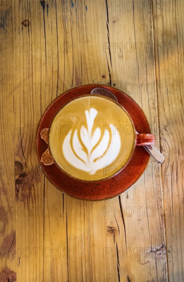Cappuccino with floral pattern in milk foam, wooden table, coffee, cup, coffee mug, drink, caffeine gastronomy