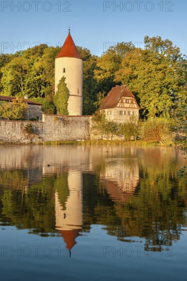 Digester's tower with park keeper's house on the town wall in the morning light, reflection in the Rothenburg pond, Romantic Road, Dinkelsbühl, Middle Franconia, Franconia, Bavaria, Germany