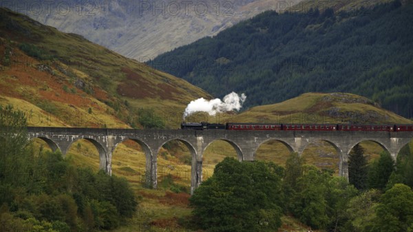 Europe, Scotland, Great Britain, England, landscape, Glennfinnan, railway bridge, viaduct, Glenfinnan