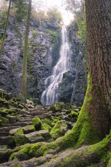 A waterfall in the forest, visible through trees, with mossy rocks, Burgbach waterfall, Bad Rippoldsau-Schapbach, Black Forest, Germany
