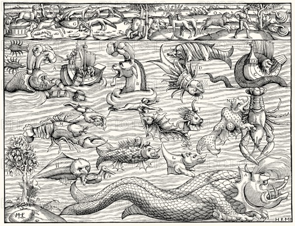 Land and sea monsters, based on Sebastian Munster's Comograhia uiversalis” from 1550