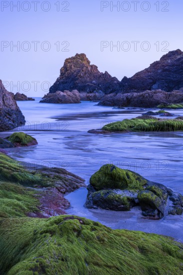 Rocks in Kynance Cove. Evening, blue hour. Long exposure. Kynance Cove, Lizard Peninsula, Cornwall, England, Great Britain