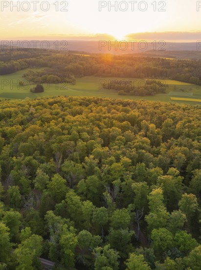 A forest and fields, illuminated by the warm light of the sunset, forest pasture project, compensation measure for the Hermann Hesse railway, Gechingen, district of Calw, Germany