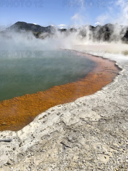 Champagne Pool at the Waiotapu Thermal Track in the colourful geothermal area of Waiotapu Thermal Wonderland, North Island, New Zealand, Oceania