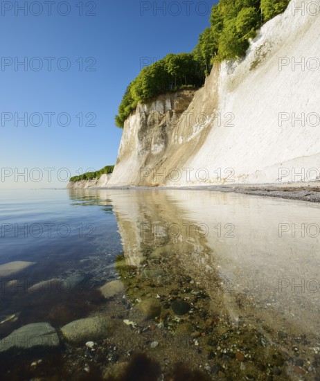 Germany, Mecklenburg-Western Pomerania, Island of Rügen, Jasmund National Park, chalk cliffs reflected in the waters of the Baltic Sea