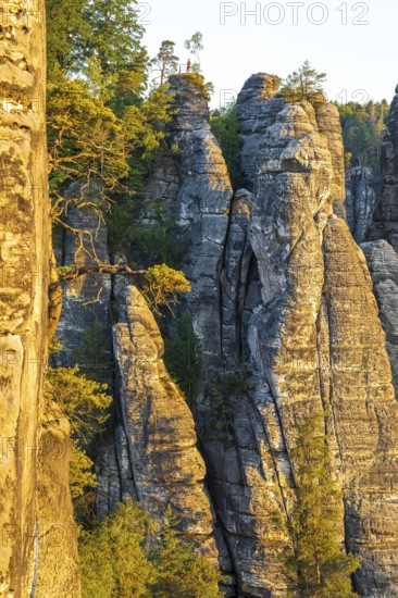 Rock needles protrude from the Wehlgrund, on top of the Ferdinandstein viewpoint at the Bastei Bridge, Saxon Switzerland, Saxony, Germany