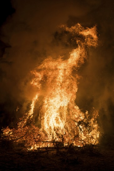 Environmental pollution, fire from discarded Christmas trees, Ostfildern-Plieningen, Baden-Württemberg, Germany