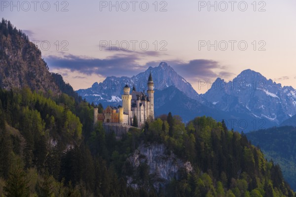 Neuschwanstein Castle romantic in front of an alpine evening mood, Schwangau near Füssen, Ostallgäu district, Swabia, Bavaria, Germany