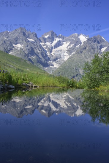 Pointe Piaget and La Meije reflected in the pond of the botanical garden Jardin du Lautaret, Villar-d'Arêne, Département Hautes-Alpes, France