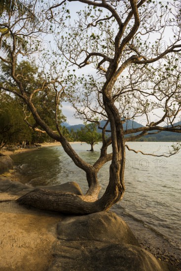 Klong Son Beach, Ko Chang, Koh Chang, Mu Ko Chang National Park, Trat, Thailand