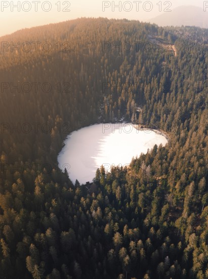 Bird's eye view of a lake surrounded by trees in a tranquil natural setting, Glaswaldsee, Bad Rippoldsau-Schapbach, Black Forest, Germany