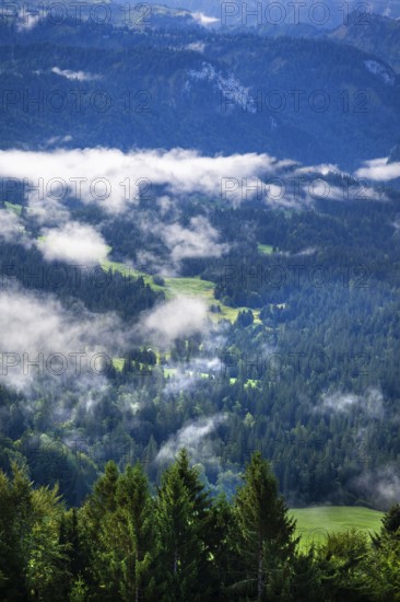 Mist in the valley, Allgäu Alps in the background, Sibratsgfäll, Austria
