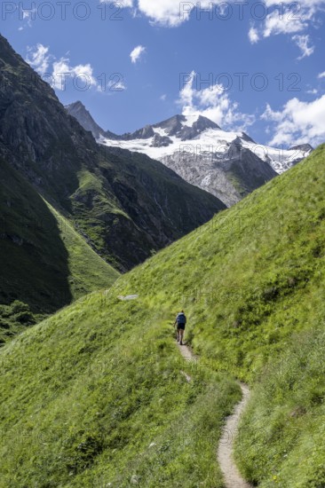 Hiker on hiking trail, view of Großer Schober and Rötspitze, Umbaltal, Hohe Tauern National Park, East Tyrol, Tyrol, Austria