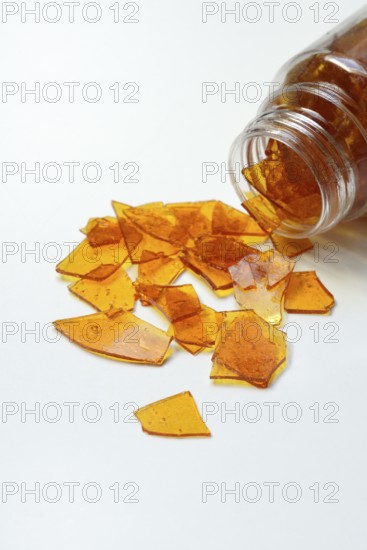 Shellac, shellac platelets, resin of the lacquer scale insect, Kerria lacca