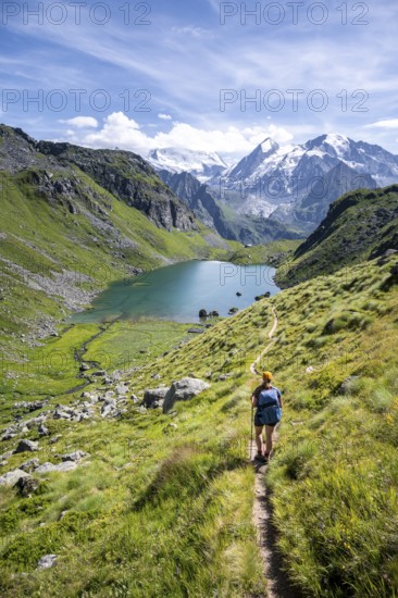 Hiker, mountain lake Lac de Louvie with glaciated summit of the Grand Combin, Val de Bagnes, Valais, Switzerland