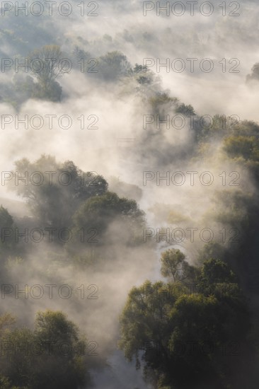 Morning mist on the river Saale in the Saale valley not far from the Dornburg castles, Dornburg-Camburg, Thuringia, Germany
