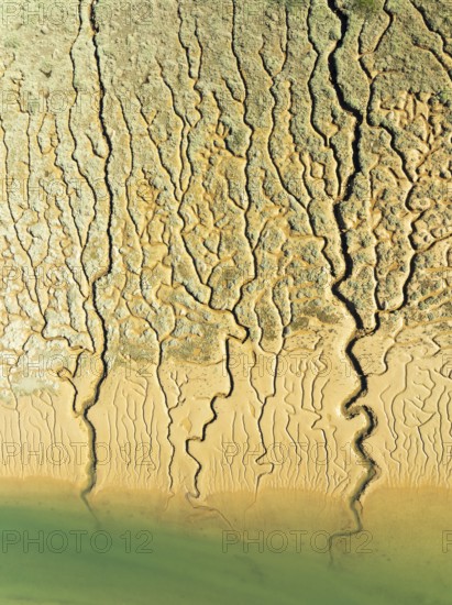 Network of channels and streams at low tide. In the marshland adjacent to the Odiel river. Aerial view. Drone shot. Huelva province, Andalusia, Spain