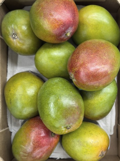 Natural organic fruit mango in loose pieces Display of retail wholesale greengrocer supermarket environmentally friendly without plastic packaging no plastic packaging, Germany
