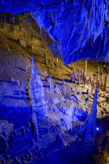 Blue illuminated stalagmites and stalactites in a cave, Devil's Cave Pottenstein, Franconian Switzerland, Franconia, Bavaria, Germany