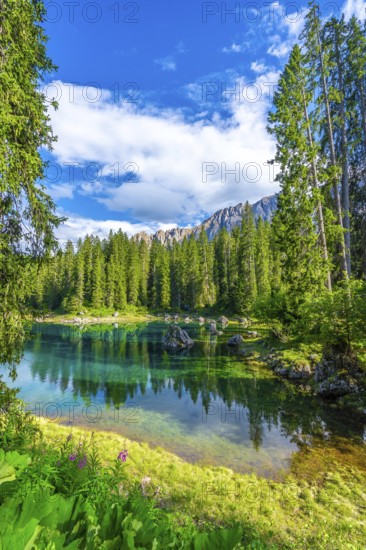 Emerald waters of lake carezza reflecting latemar mountain range and lush green forest on a sunny summer day in the dolomites, italy