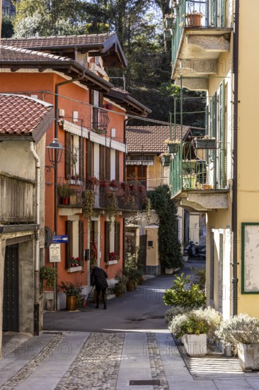 Alley with colourful houses, Mergozzo, Lago di Mergozzo, Piedmont, Italy