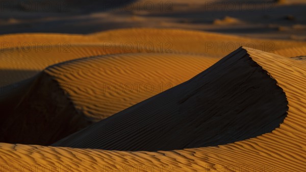 Sand dunes in the Rhub al Khali desert, detailed view, empty quarter, largest sandy desert in the world, Oman