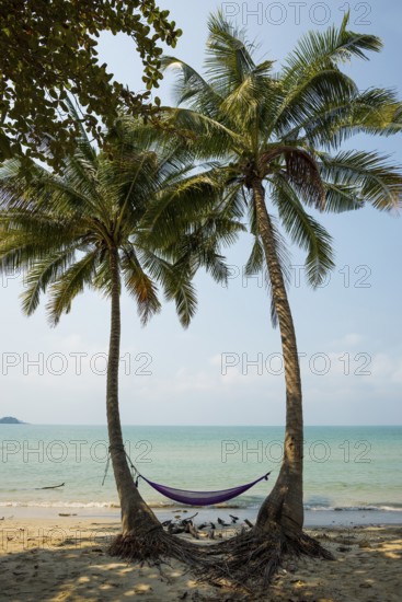 Picturesque beach with coconut palms and hammock, Klong Prao Beach, Ko Chang, Koh Chang, Mu Ko Chang National Park, Trat, Thailand