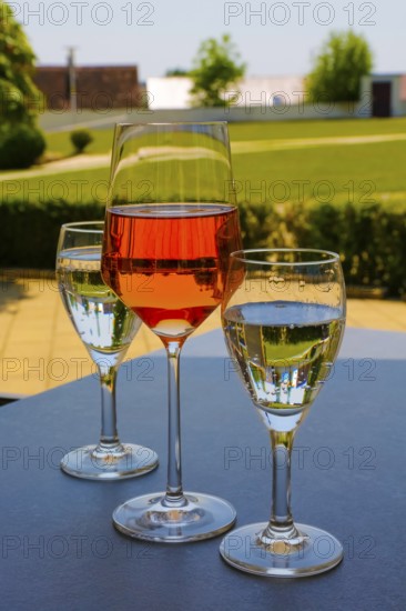 Froben Restaurant am Schloss, restaurant, gastronomy, drinking, wine glass, rose, wine, mineral water, drinks, water glasses, garden restaurant, Meßkirch, Baden-Württemberg, Germany
