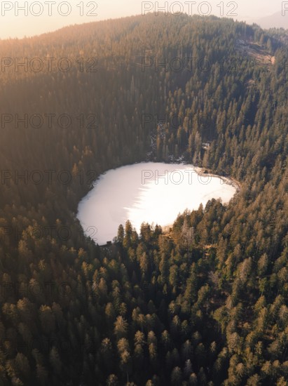 A bird's eye view of a lake surrounded by dense forests in a peaceful landscape, Glaswaldsee, Bad Rippoldsau-Schapbach, Black Forest, Germany