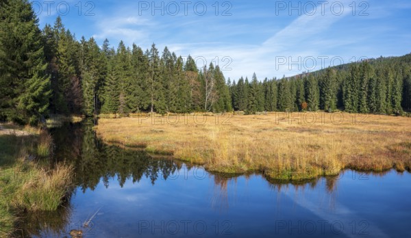 Kleiner Arbersee lake in autumn, Bavarian Forest, Lower Bavaria, Bavaria, Germany