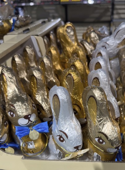 Display on retail shelf of wholesale chocolate Easter bunnies chocolate Easter bunnies wrapped in gold gold silver silver coloured staniol paper, Germany