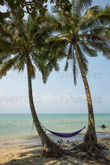 Picturesque beach with coconut palms and hammock, Ko Chang, Koh Chang, Mu Ko Chang National Park, Trat, Thailand