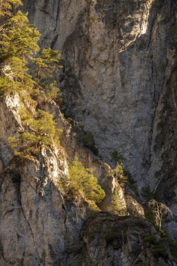 Rock face in the Kundl Gorge in spring at sunrise, Kundl Gorge, Kundl, Tyrol, Austria