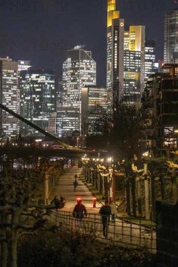 Skyline of the city centre of Frankfurt am Main, cycle and footpath, promenade, along the river Main, dusk, Hesse, Germany