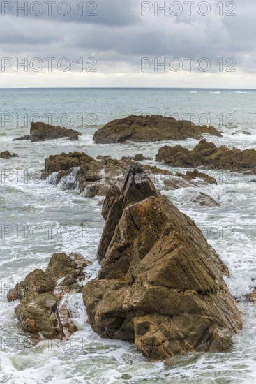 Rocks covered with shells on the Atlantic coast. Sables d'Olonne, Vendee France