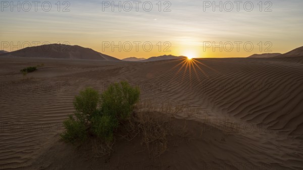 Sand dunes in the Rhub al Khali desert, empty quarter, largest sandy desert in the world, Oman